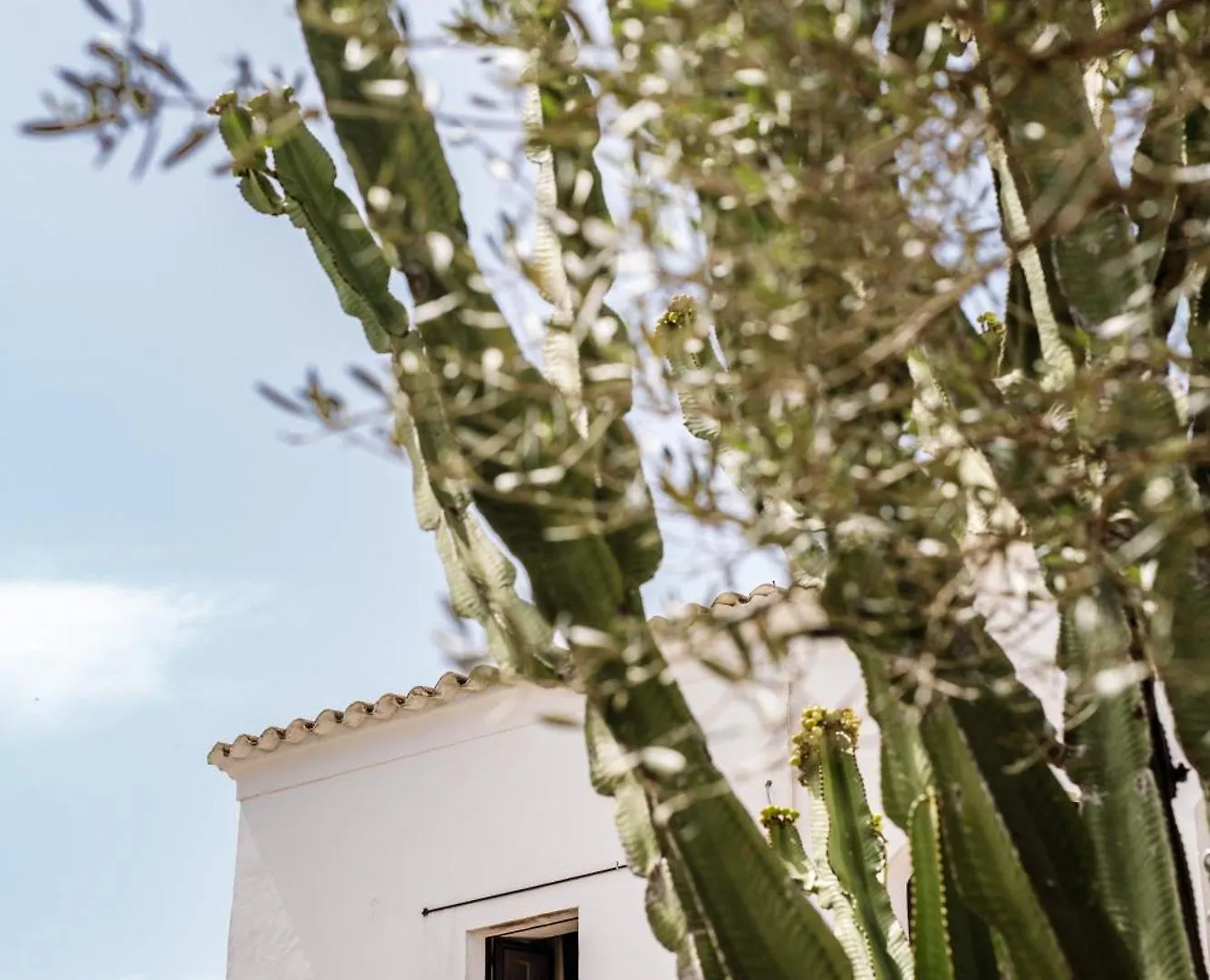 Finca Legado Ibiza Santa Eularia des Riu 3*,